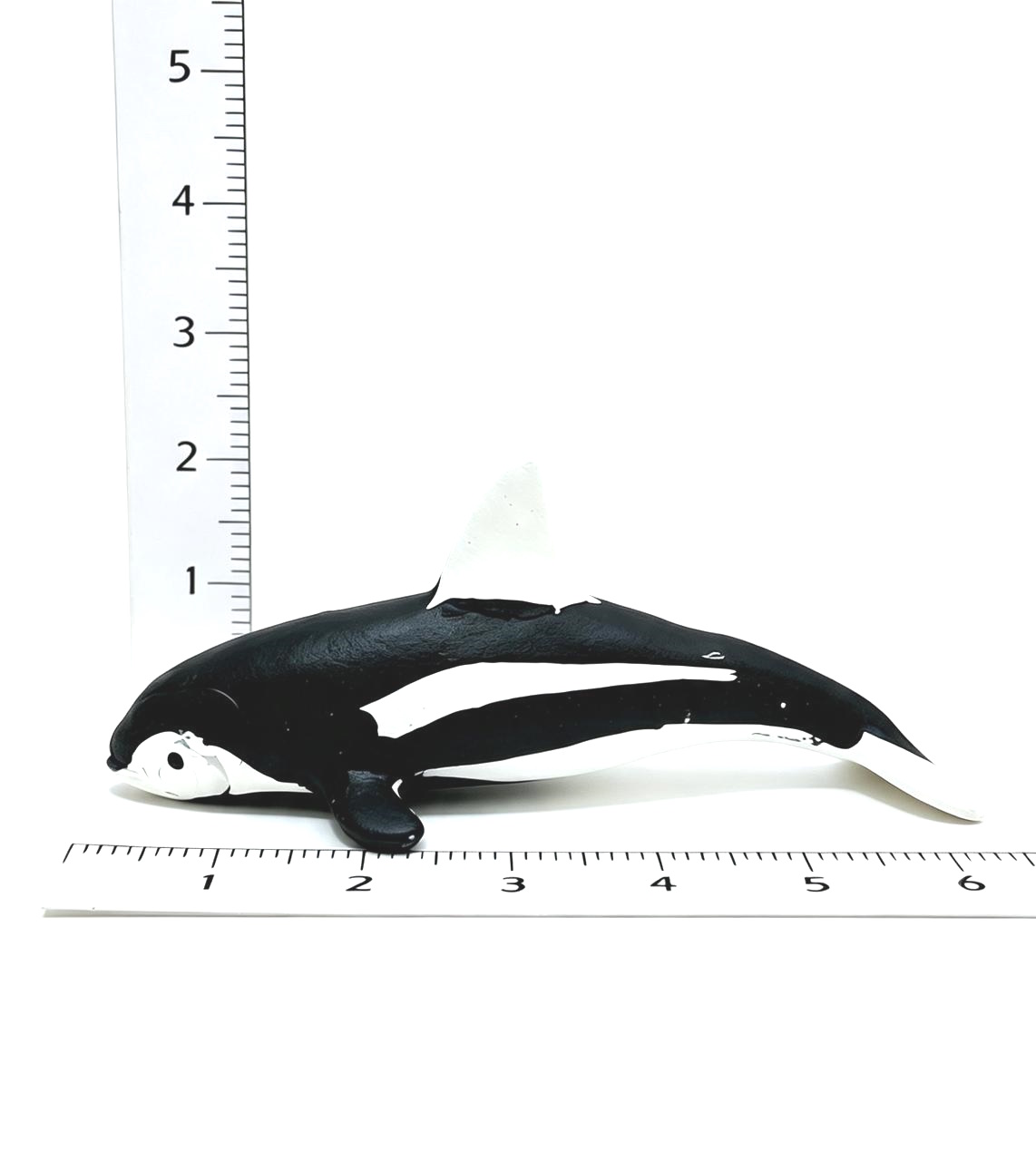 ORCA