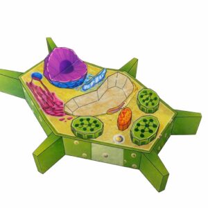 CELULA VEGETAL Maqueta para Recortar y Armar