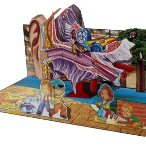 EL OIDO Maqueta para Recortar y Armar