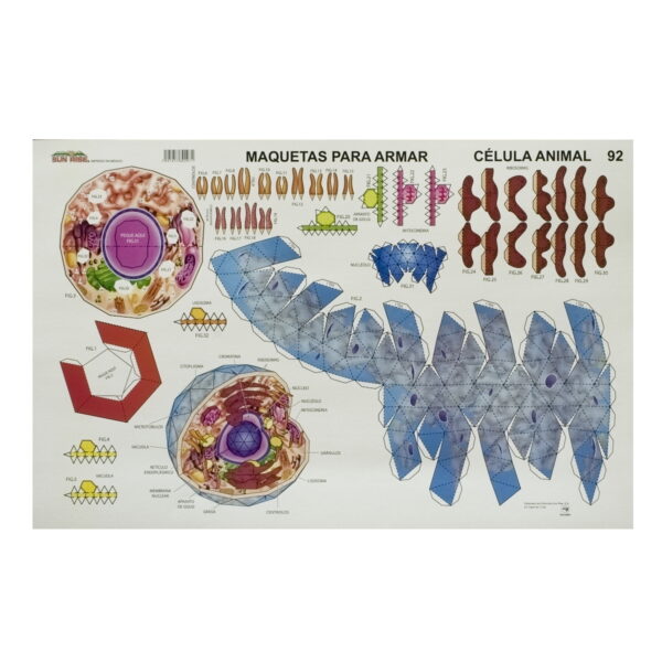 CELULA ANIMAL Maqueta para Recortar y Armar - Image 2